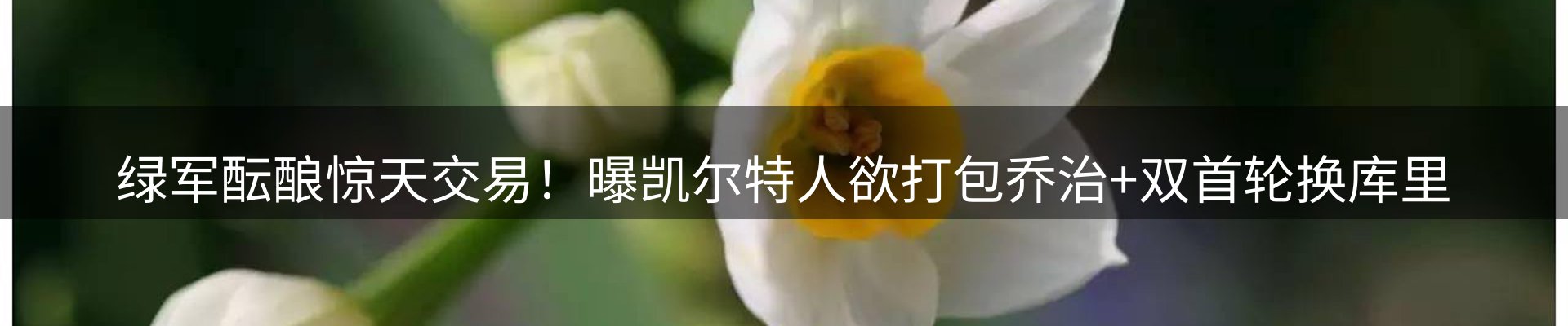 焦点汇集