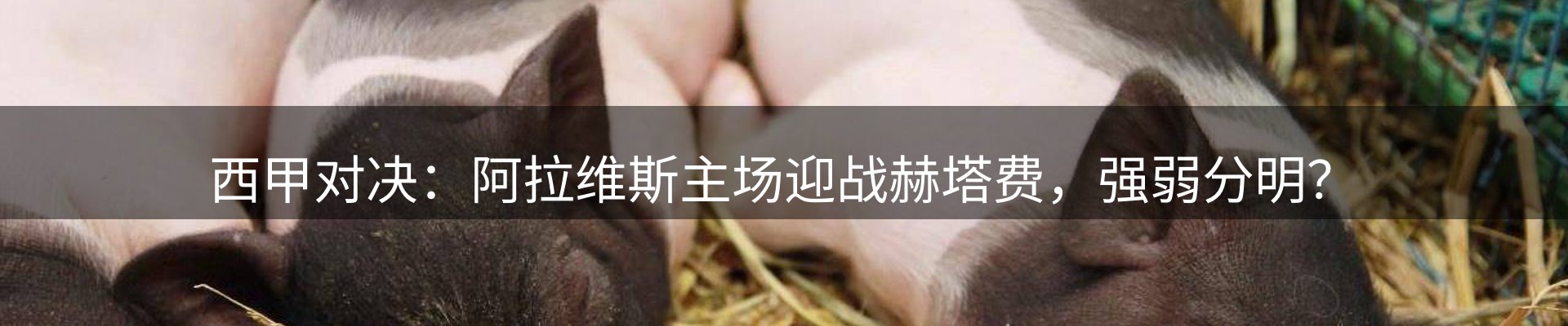 焦点汇集