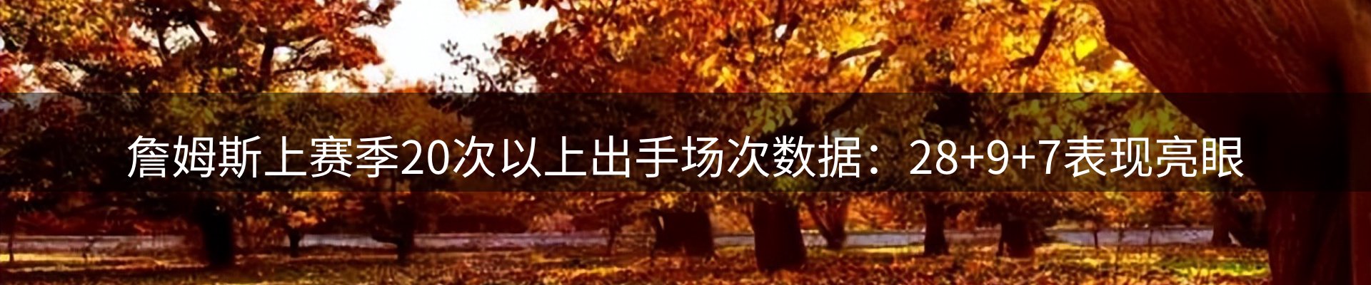 焦点汇集