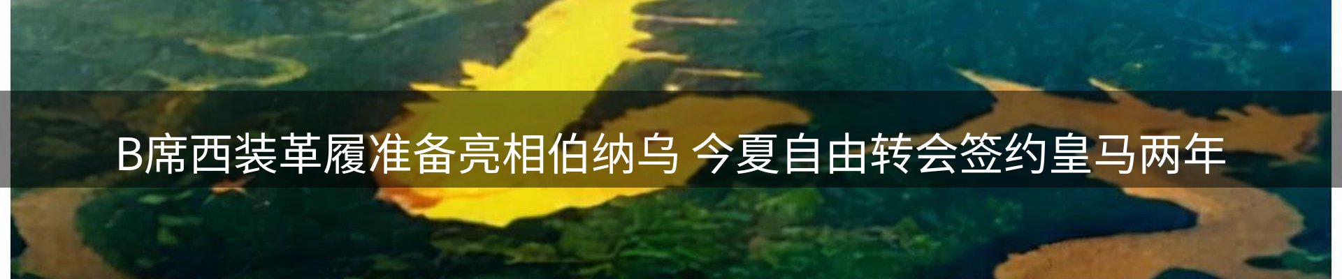 焦点汇集